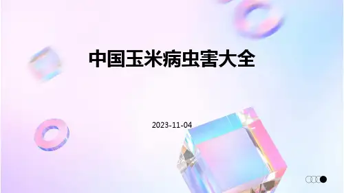 中国玉米病虫害大全(共174张)