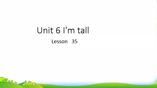 精通版四年级英语上册Unit 6 I'm tall Lesson 35 课件3