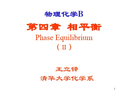 清华大学物理化学B-相平衡-2