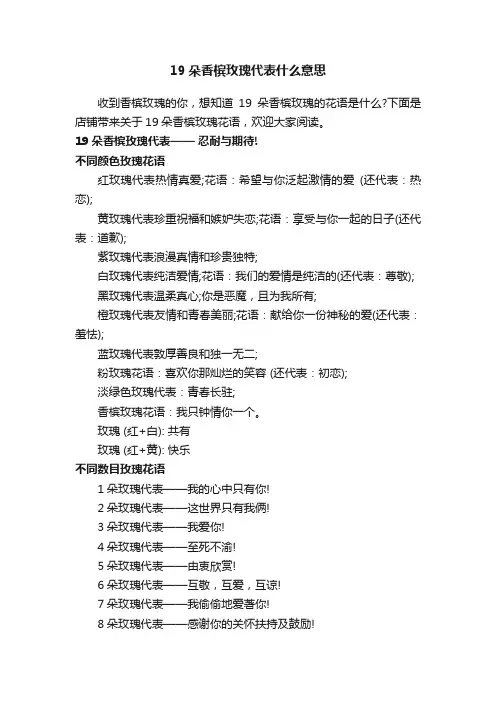 19朵香槟玫瑰代表什么意思