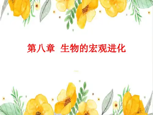 高中生物竞赛课件进化生物学+8宏观进化+(2)