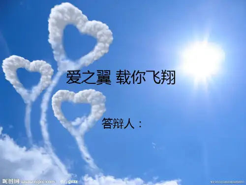社会实践答辩 ppt课件