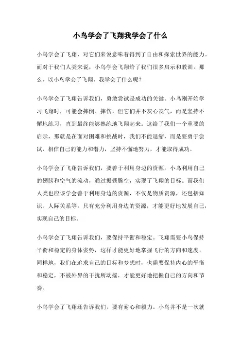 小鸟学会了飞翔我学会了什么