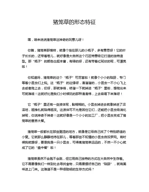 猪笼草的形态特征
