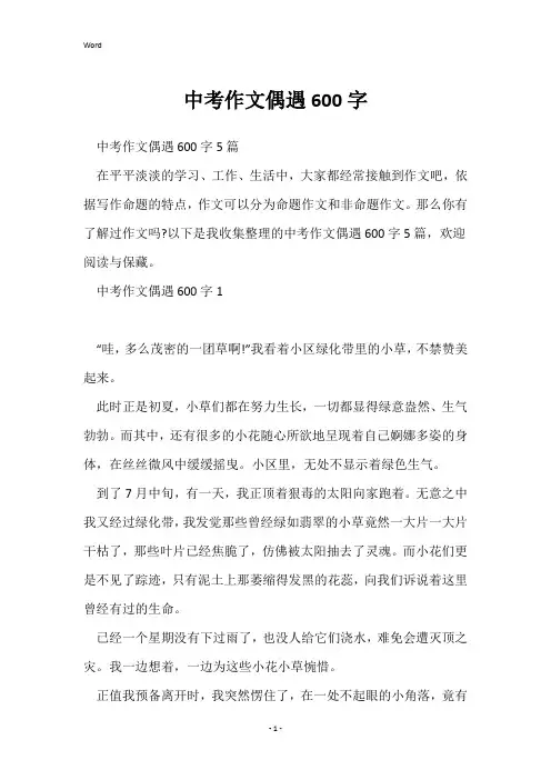 中考作文偶遇600字