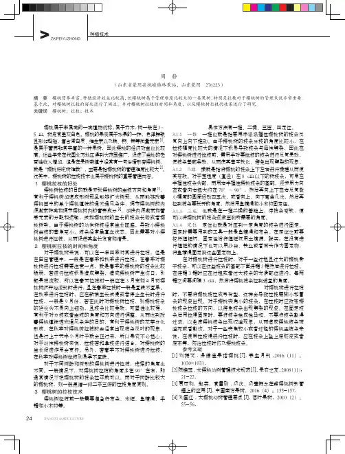 樱桃树拉枝的好处和拉枝技术