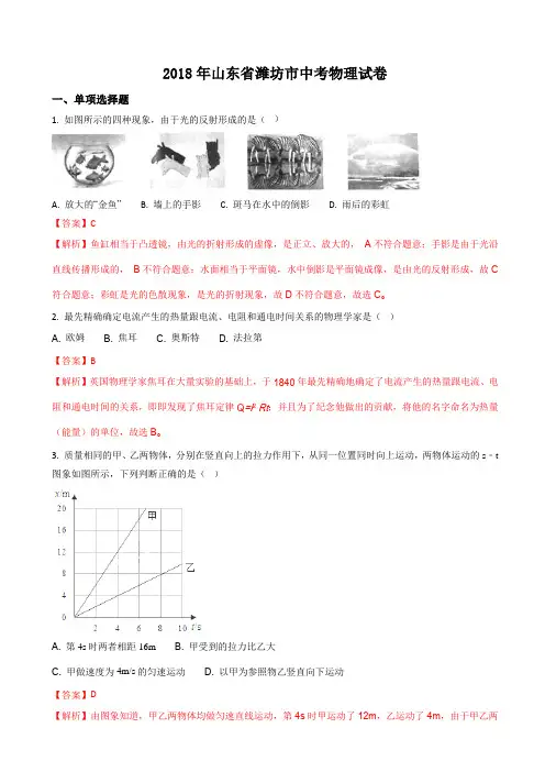 山东省潍坊市2018年中考物理试题(有答案)(word版)AUPPAP