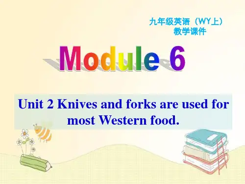 外研版九年级英语Module 6 Unit2
