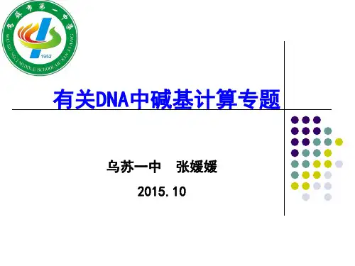 DNA分子 碱基互补配对计算  张媛媛
