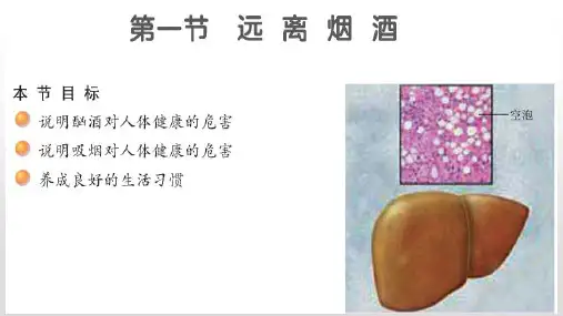 苏教版八年级生物下册第二十六章珍爱生命第一节远离烟酒