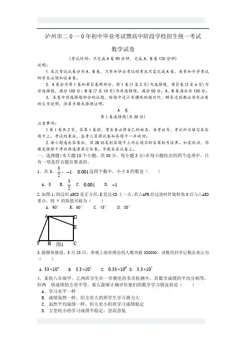 2010年四川省泸州中考数学试题(WORD版含答案)