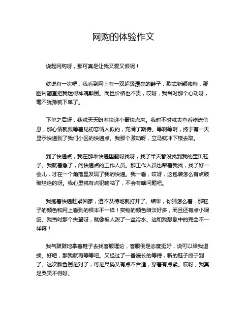 网购的体验作文