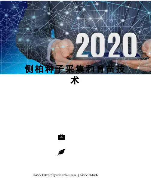 侧柏种子采集和育苗技术