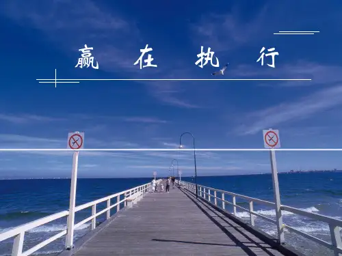 赢在执行力经典实用课件《赢在执行》讲义课件(最新)