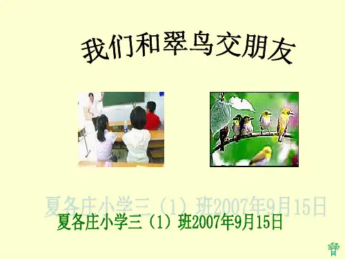 小学语文翠鸟[人教版]PPT课件