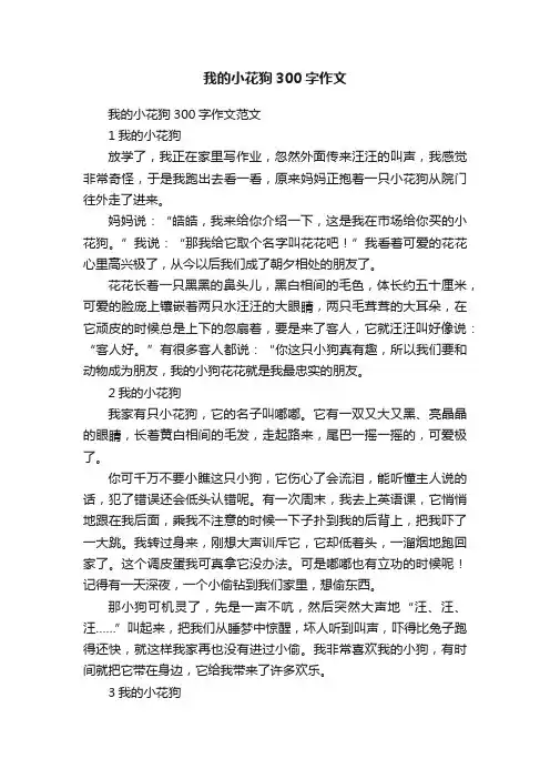 我的小花狗300字作文