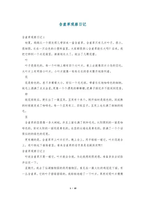 含羞草观察日记