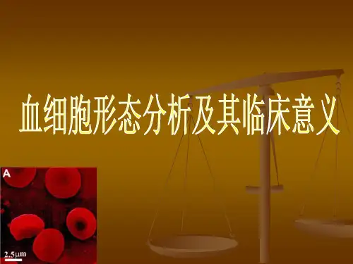 血细胞形态学分析