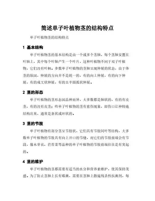 简述单子叶植物茎的结构特点
