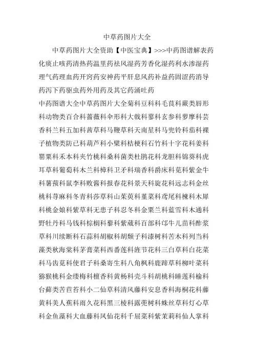 中草药图片大全
