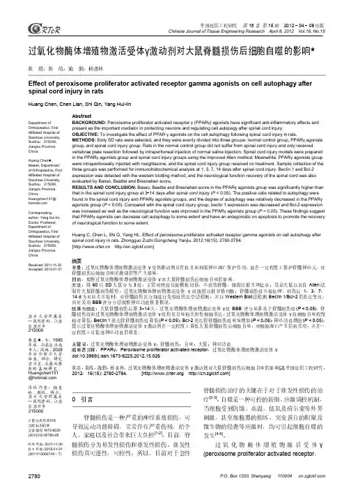 组织构建-过氧化物酶-过氧化物酶体增殖物激活受体γ激动剂对大鼠脊髓损伤后细胞自噬的影响