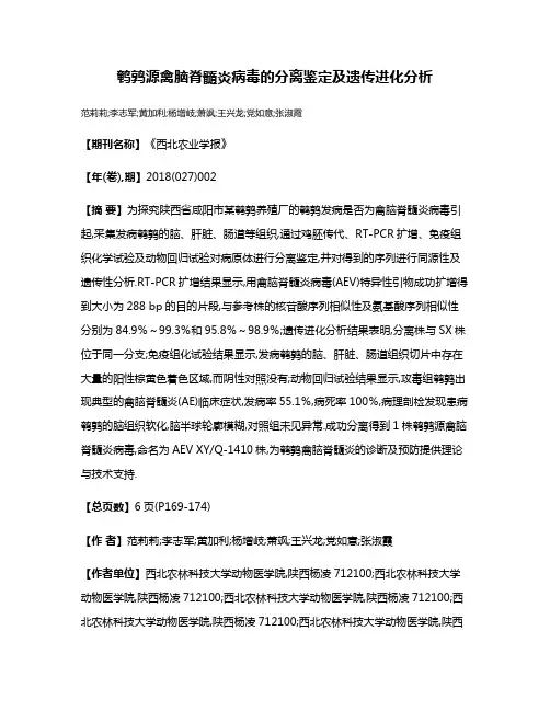 鹌鹑源禽脑脊髓炎病毒的分离鉴定及遗传进化分析