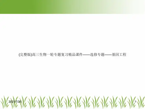 (完整版)高三生物一轮专题复习精品课件——选修专题——基因工程