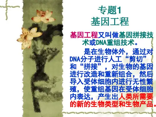 生物：专题1《基因工程》课件(1)(新人教版选修3)