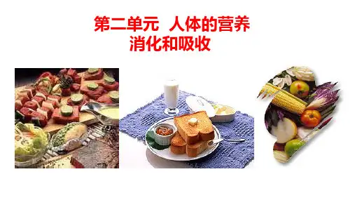 人教版生物七年级下册4-2-2消化和吸收   课件   (共15张PPT)