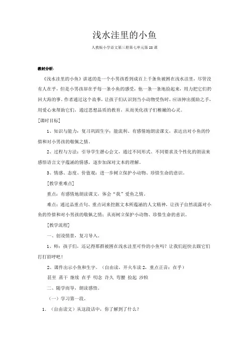 浅水洼里的小鱼