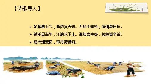 6.《芣苢》《插秧歌》课件统编版高中语文必修上册