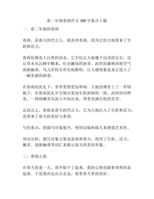 春二年级春雨作文300字集合十篇