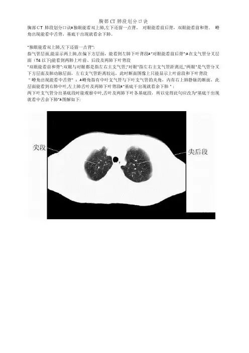 胸部CT肺段划分口诀
