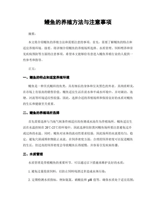 鳗鱼的养殖方法与注意事项