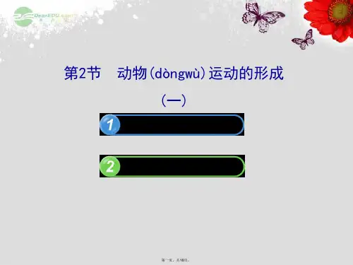八年级生物上册 第十五章 动物的运动 5.15.2动物运动的形成(一)课件 北师大版