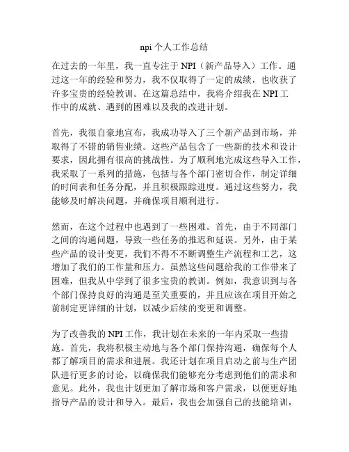 npi个人工作总结 2