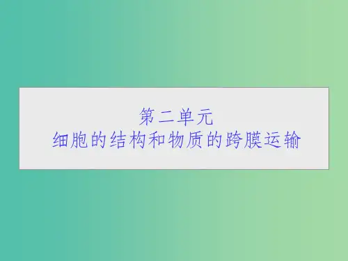 高考生物一轮总复习 第二单元 第一讲 细胞膜和细胞核(含生物膜的流动镶嵌模型)课件