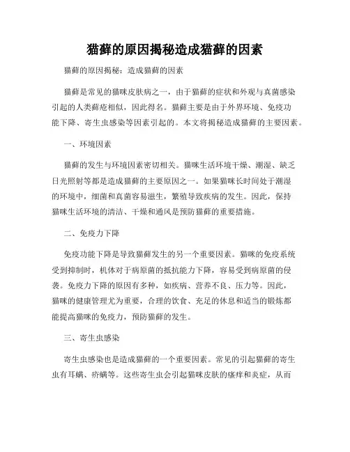 猫藓的原因揭秘造成猫藓的因素