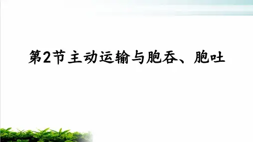 新教材人教版生物《主动运输与胞吞、胞吐》PPT优质课1