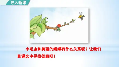 【精选】部编版二年级下册语文第22课《小毛虫》优秀课件