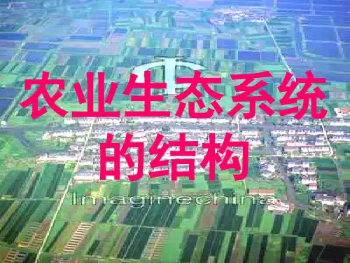 第九章农业生态系统的结构009