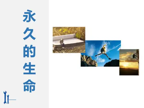 部编版八年级上册语文《永久的生命》PPT优秀教学说课复习电子课件