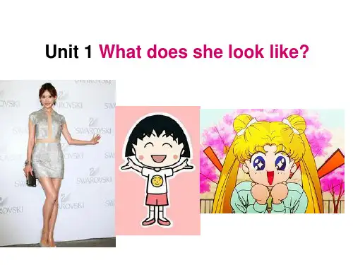 湘少版英语(三起)五年级上册Unit 1《What does she look like》课件