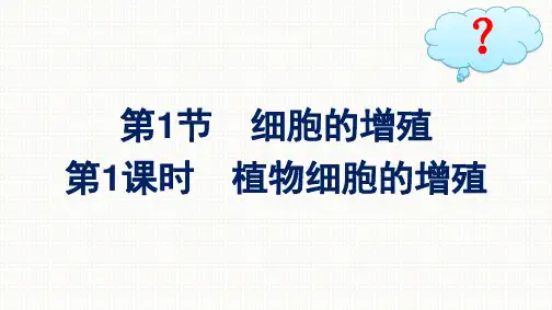 人教版高中生物学必修1精品课件 第6章 细胞的生命历程 第1节 第1课时 植物细胞的增殖 (2)