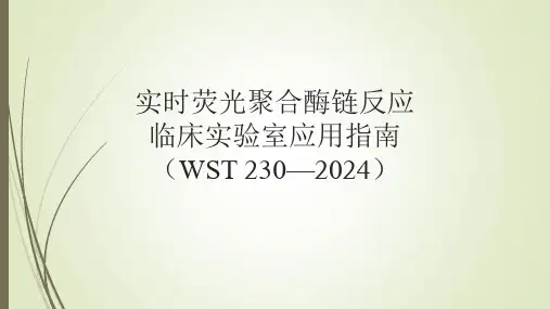 实时荧光聚合酶链反应临床实验室应用指南(WST 230—2024)