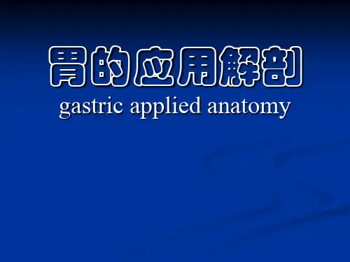 解剖学PPT课件-胃(完整版)