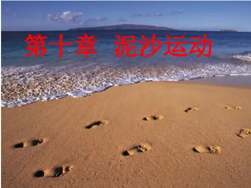 第十章海岸泥沙运动解析