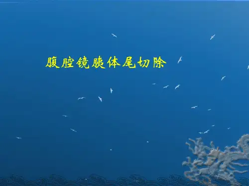 腹腔镜胰体尾肿瘤切除PPT课件