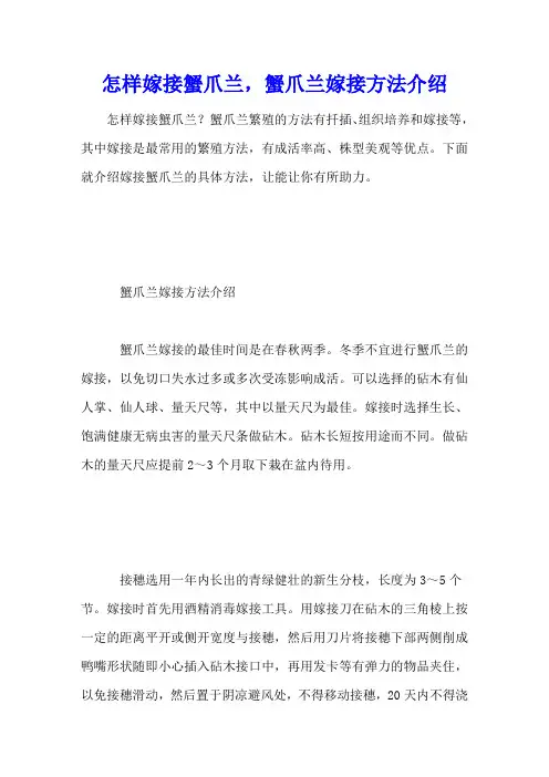 怎样嫁接蟹爪兰,蟹爪兰嫁接方法介绍