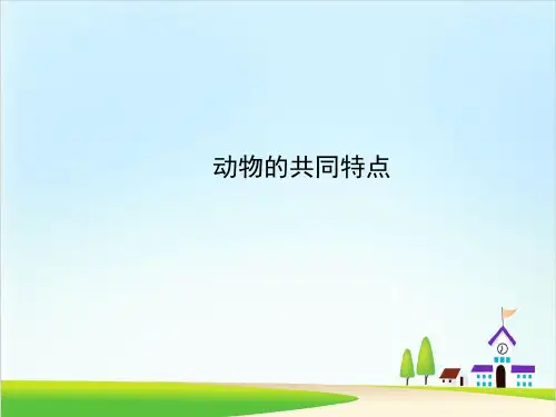 教科版《动物有哪些相同特点》PPT课件2